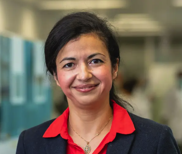 Prof. Mojgan Masoodi
